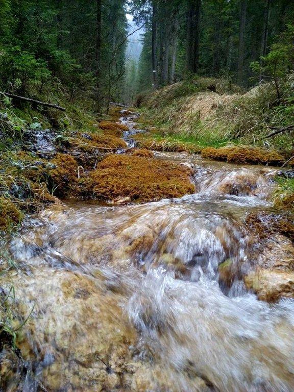 Wellness Hotel Bladen Sappada Esterno foto